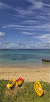 Lovers Beach - Lord Howe Island - NSW T V (PBH4 00 11788)
